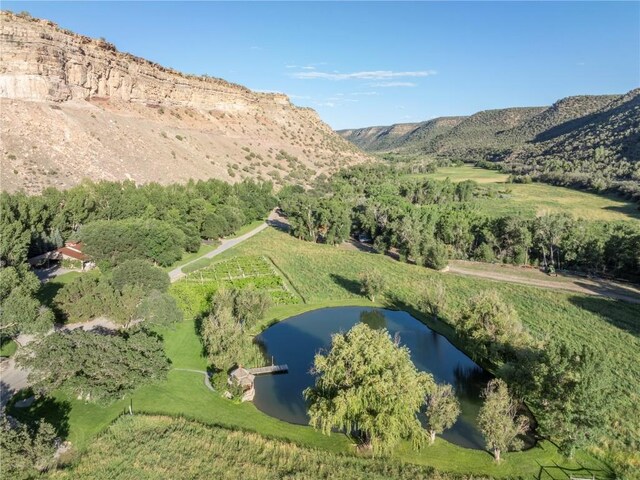 34074 Fruitland Mesa Rd, Crawford, CO 81415 - photo 3
