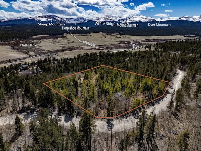 232 Quarry Rd, Fairplay, CO 80440 - photo 47