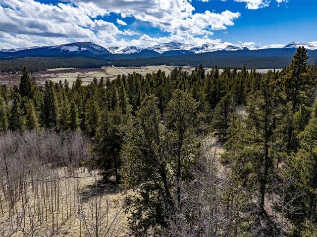 232 Quarry Rd, Fairplay, CO 80440 - photo 46