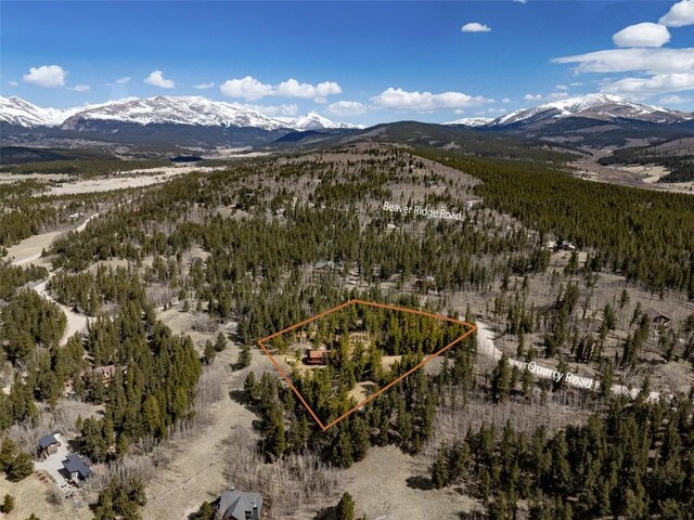232 Quarry Rd, Fairplay, CO 80440 - photo 12