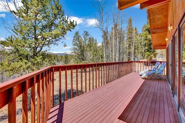 232 Quarry Rd, Fairplay, CO 80440 - photo 38