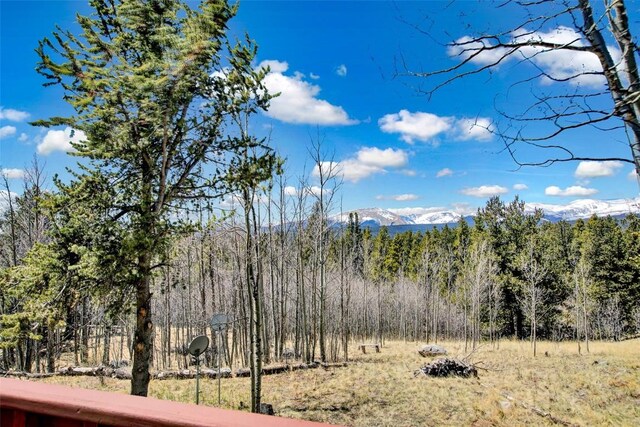 232 Quarry Rd, Fairplay, CO 80440 - photo 9
