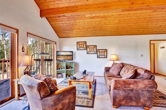232 Quarry Rd, Fairplay, CO 80440 - photo 6