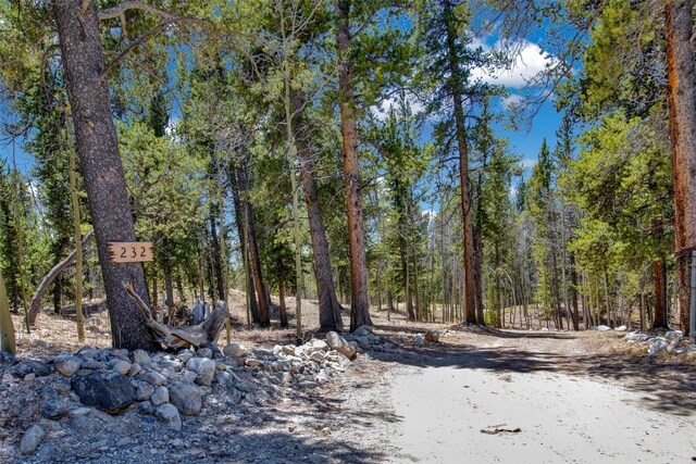 232 Quarry Rd, Fairplay, CO 80440 - photo 43