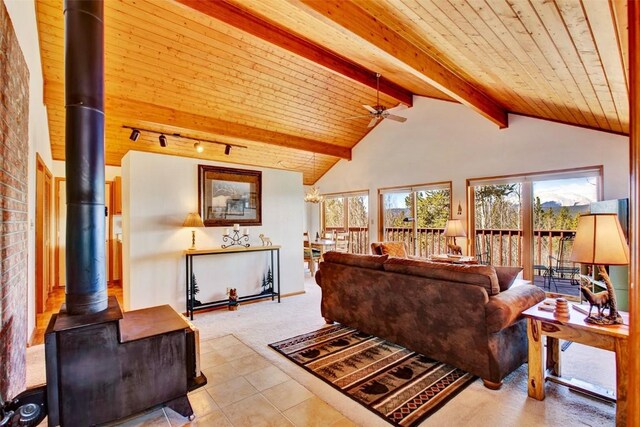 232 Quarry Rd, Fairplay, CO 80440 - photo 7