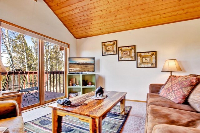 232 Quarry Rd, Fairplay, CO 80440 - photo 3