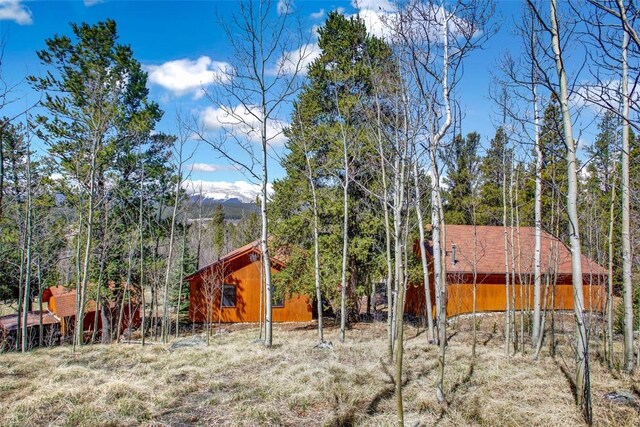 232 Quarry Rd, Fairplay, CO 80440 - photo 44