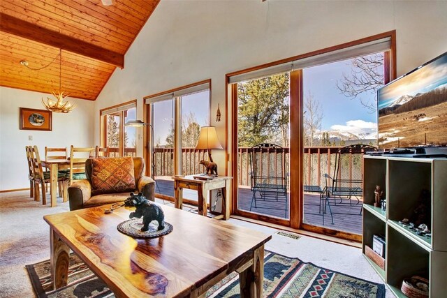 232 Quarry Rd, Fairplay, CO 80440 - photo 4