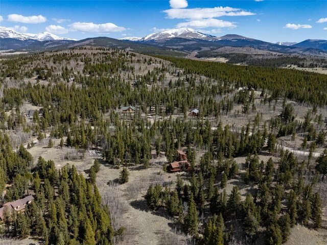 232 Quarry Rd, Fairplay, CO 80440 - photo 48