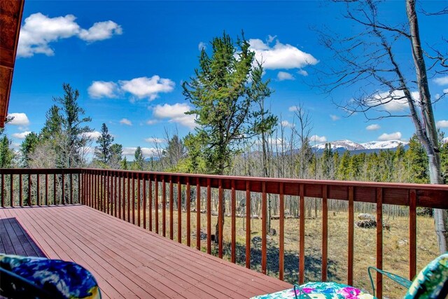 232 Quarry Rd, Fairplay, CO 80440 - photo 10