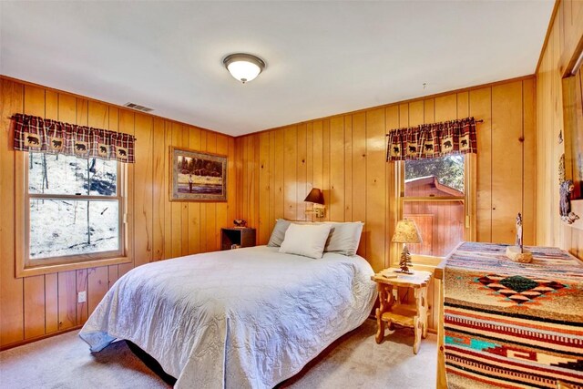232 Quarry Rd, Fairplay, CO 80440 - photo 26