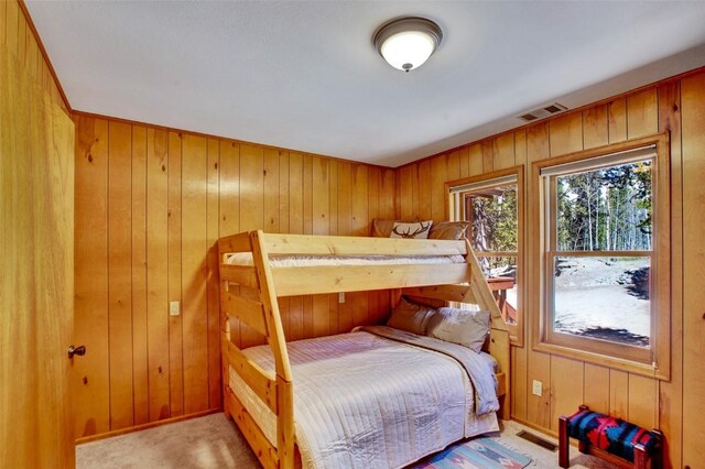 232 Quarry Rd, Fairplay, CO 80440 - photo 23