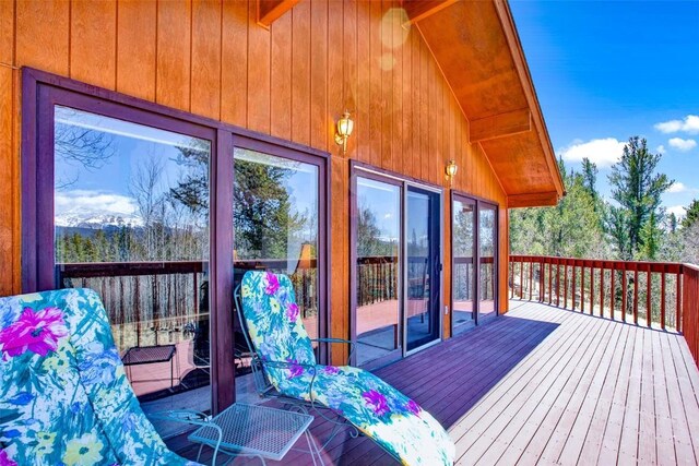 232 Quarry Rd, Fairplay, CO 80440 - photo 14