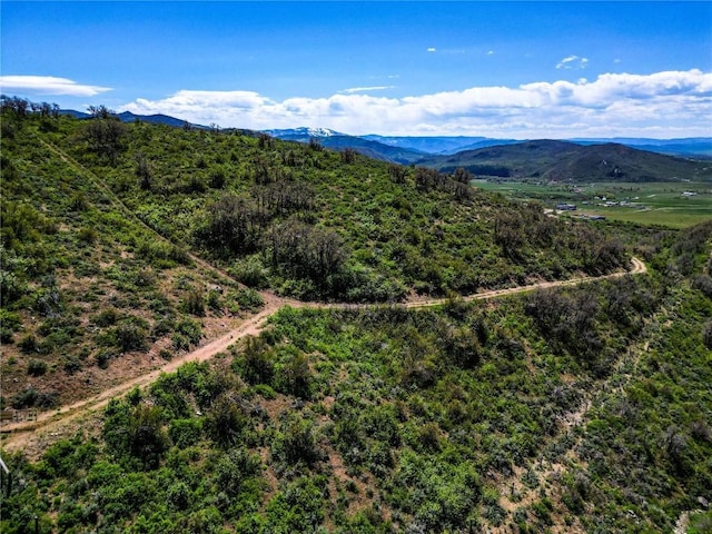 000 County Road 129, Steamboat Springs, CO 80487 - photo 11
