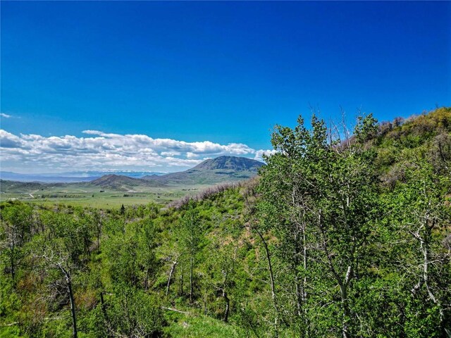 000 County Road 129, Steamboat Springs, CO 80487 - photo 2