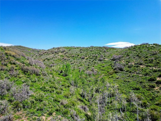 000 County Road 129, Steamboat Springs, CO 80487 - photo 27