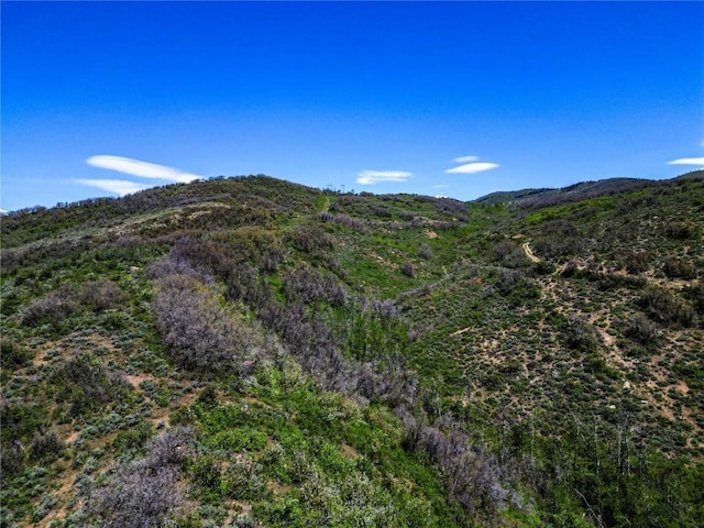 000 County Road 129, Steamboat Springs, CO 80487 - photo 15