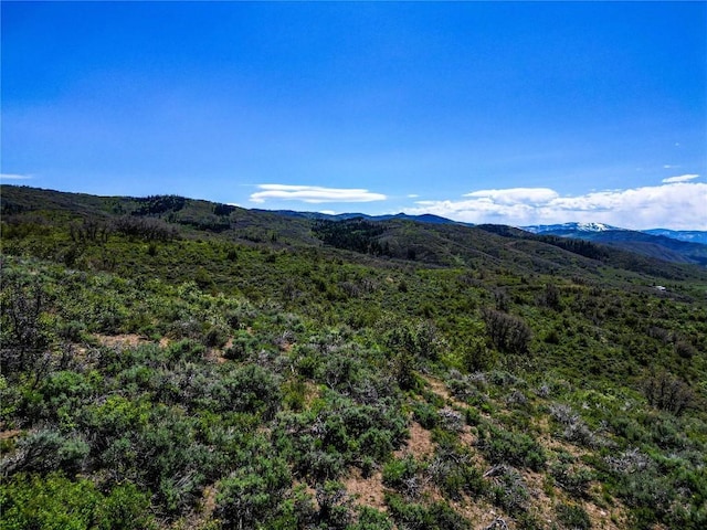 000 County Road 129, Steamboat Springs, CO 80487 - photo 25