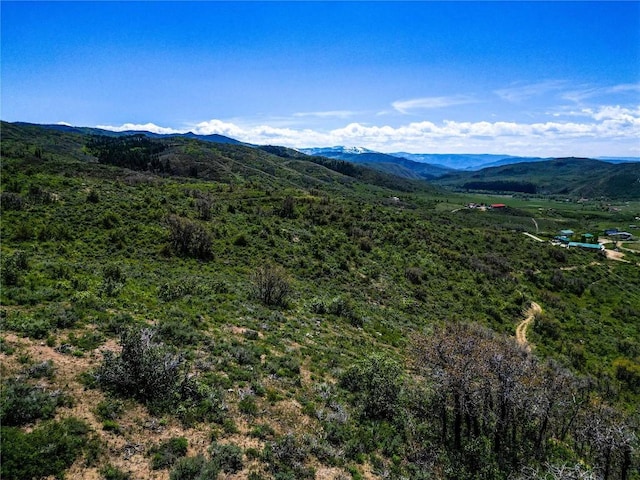 000 County Road 129, Steamboat Springs, CO 80487 - photo 29