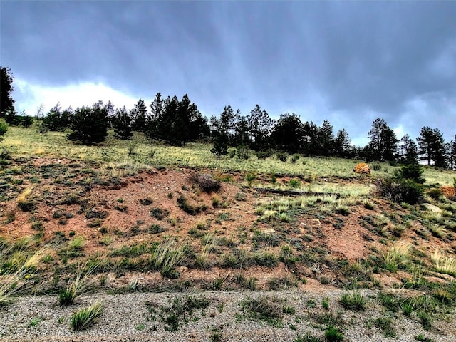 440 Arthurs Ct, Fairplay, CO 80440