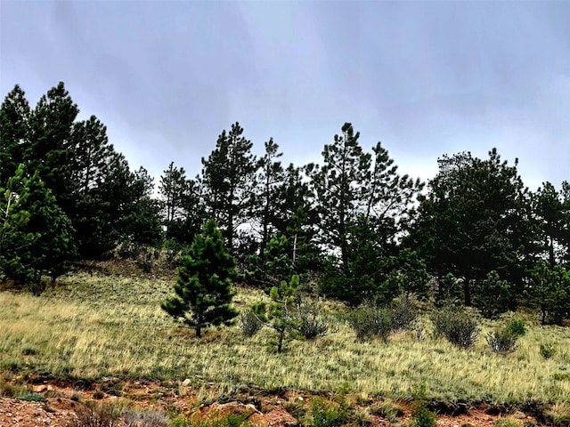 440 Arthurs Ct, Fairplay, CO 80440