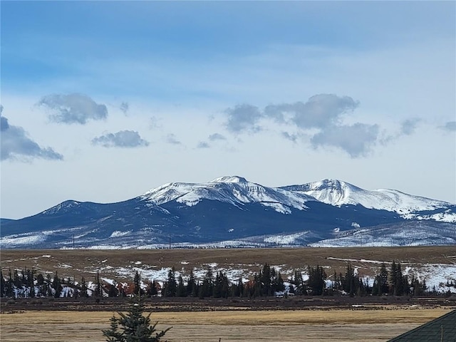 440 Arthurs Ct, Fairplay, CO 80440