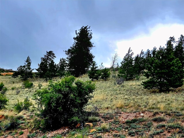 440 Arthurs Ct, Fairplay, CO 80440