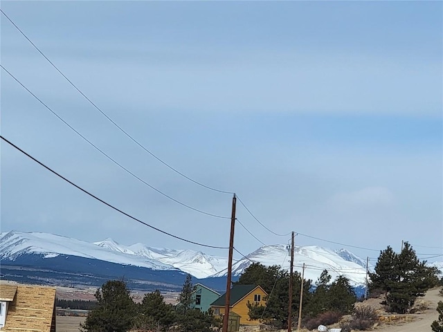 440 Arthurs Ct, Fairplay, CO 80440