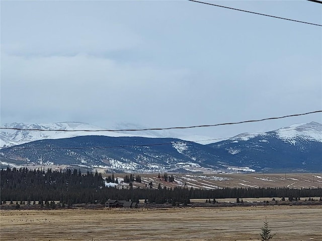 440 Arthurs Ct, Fairplay, CO 80440
