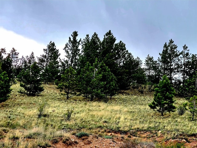 440 Arthurs Ct, Fairplay, CO 80440