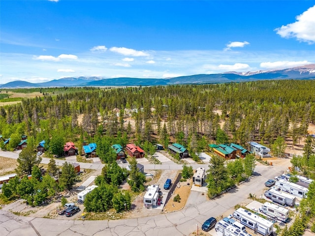216 Sunshine Loop, Fairplay, CO 80440