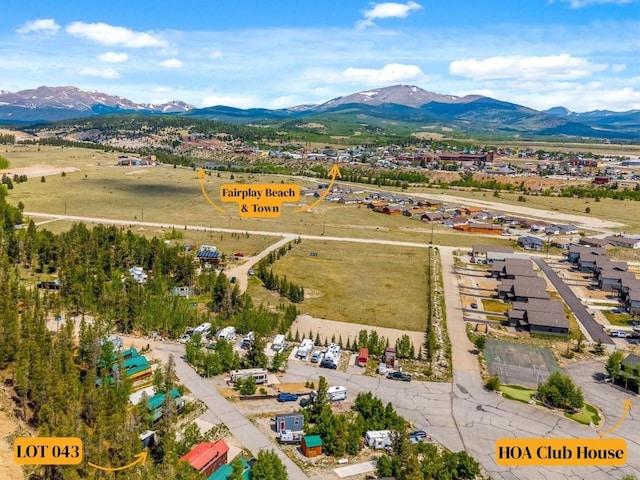 216 Sunshine Loop, Fairplay, CO 80440
