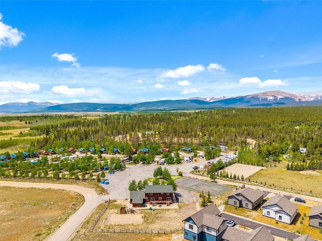 216 Sunshine Loop, Fairplay, CO 80440