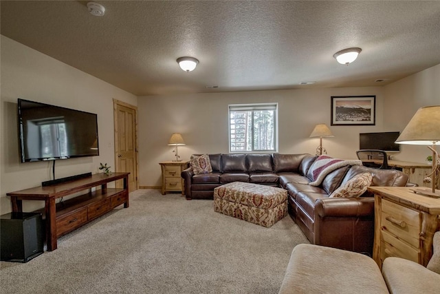 750 Miners Way, Fairplay, CO 80440 - photo 20