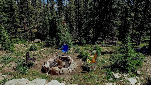 750 Miners Way, Fairplay, CO 80440 - photo 34