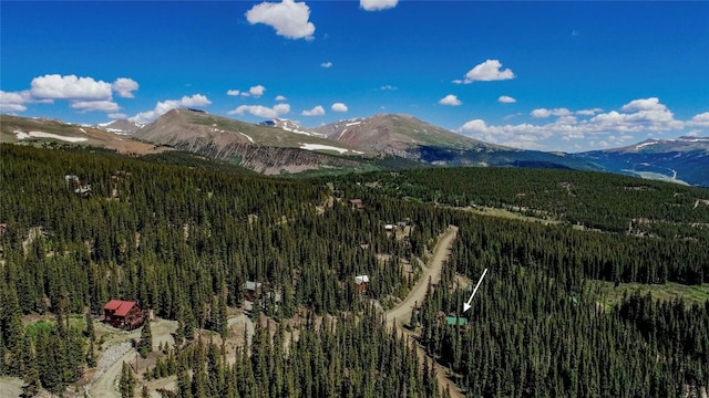 750 Miners Way, Fairplay, CO 80440 - photo 37
