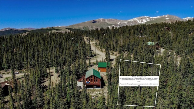 750 Miners Way, Fairplay, CO 80440 - photo 30