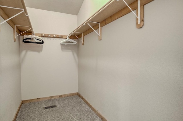 750 Miners Way, Fairplay, CO 80440 - photo 15