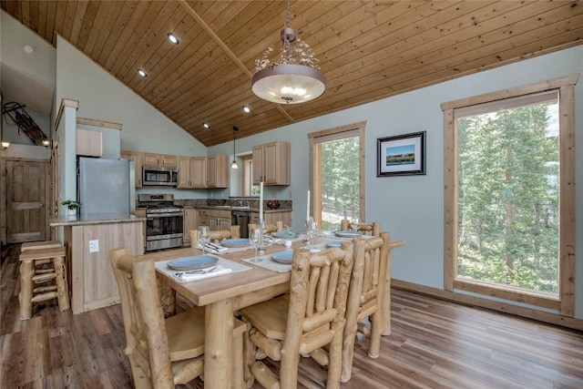 750 Miners Way, Fairplay, CO 80440 - photo 9