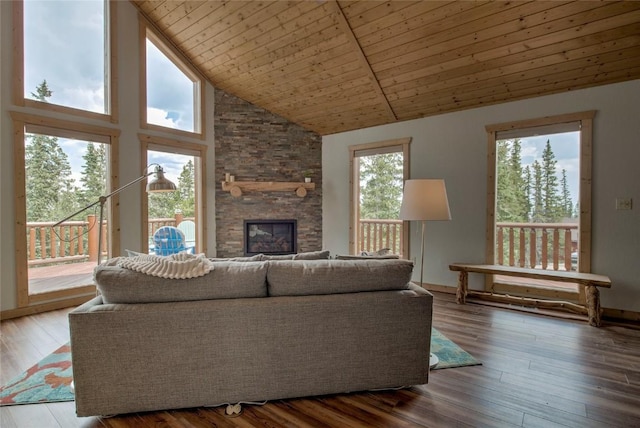 750 Miners Way, Fairplay, CO 80440 - photo 5