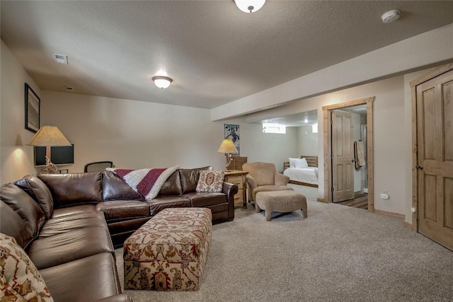 750 Miners Way, Fairplay, CO 80440 - photo 21