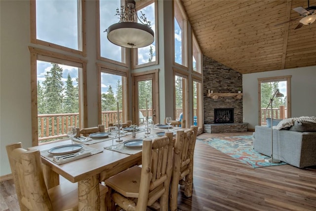 750 Miners Way, Fairplay, CO 80440 - photo 10