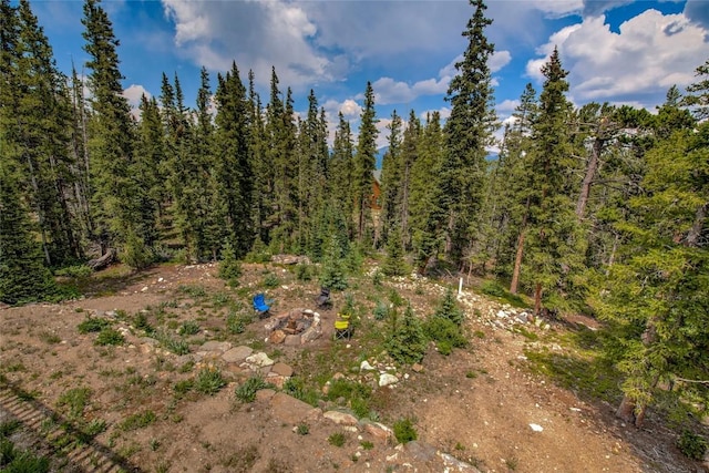 750 Miners Way, Fairplay, CO 80440 - photo 29