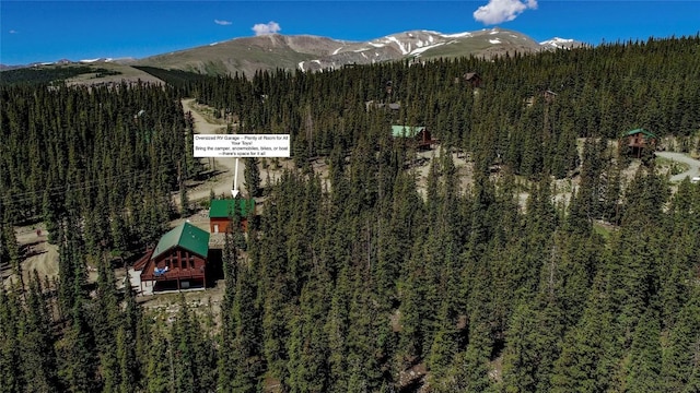 750 Miners Way, Fairplay, CO 80440 - photo 36