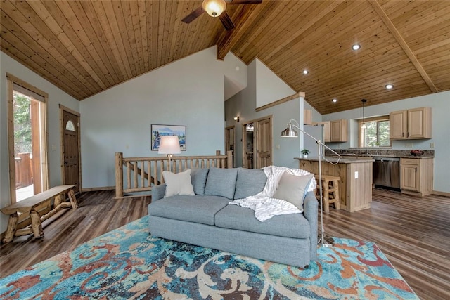 750 Miners Way, Fairplay, CO 80440 - photo 6