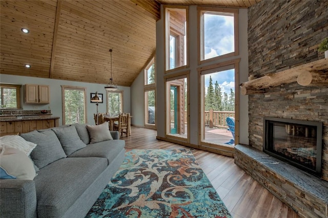 750 Miners Way, Fairplay, CO 80440 - photo 3