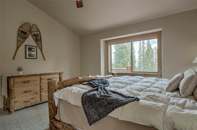 750 Miners Way, Fairplay, CO 80440 - photo 13
