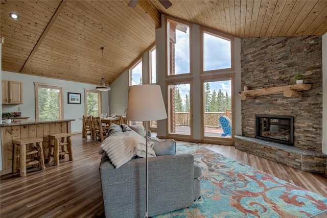 750 Miners Way, Fairplay, CO 80440 - photo 4
