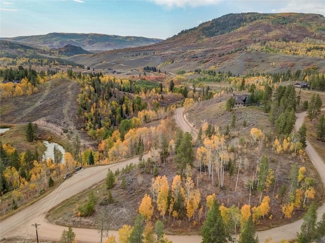 33005 Maricopa Trl, Oak Creek, CO 80467
