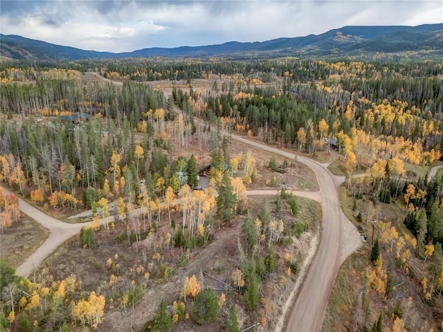 33005 Maricopa Trl, Oak Creek, CO 80467